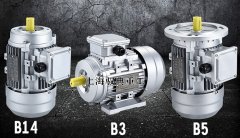 立式三相異步電動(dòng)機(jī)是什么樣的_上海生產(chǎn)廠家（馭典重工）